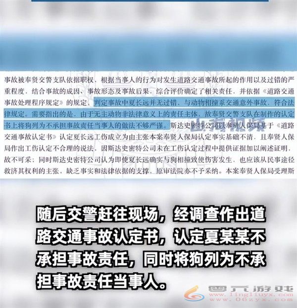 女子下班途中被狗撞伤被判工伤 法院：非本人主要责任(图1)