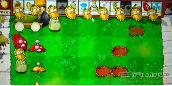 植物大战僵尸杂交版毁灭加农炮挑战第二关要怎么打(图1) 植物大战僵尸杂交版毁灭加农炮挑战第二关要怎么打(图1)