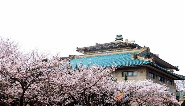 武汉大学雷军班首次招生：招30人 100%保研(图2)