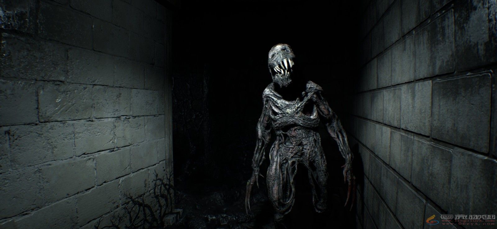 《生化7》7月2日登陆IOS 《生化2：RE》IOS版正在开发(图10)