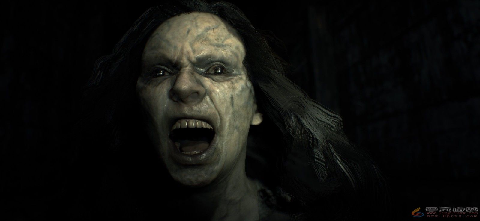 《生化7》7月2日登陆IOS 《生化2：RE》IOS版正在开发(图9)