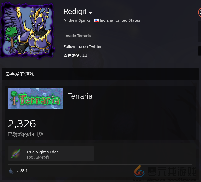 《泰拉瑞亚》创作者宣布：Solo打赢我可无条件退款(图4)