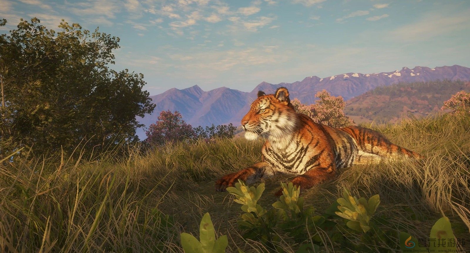 《猎人：荒野的呼唤》DLC上线 追踪13种野生动物(图2)