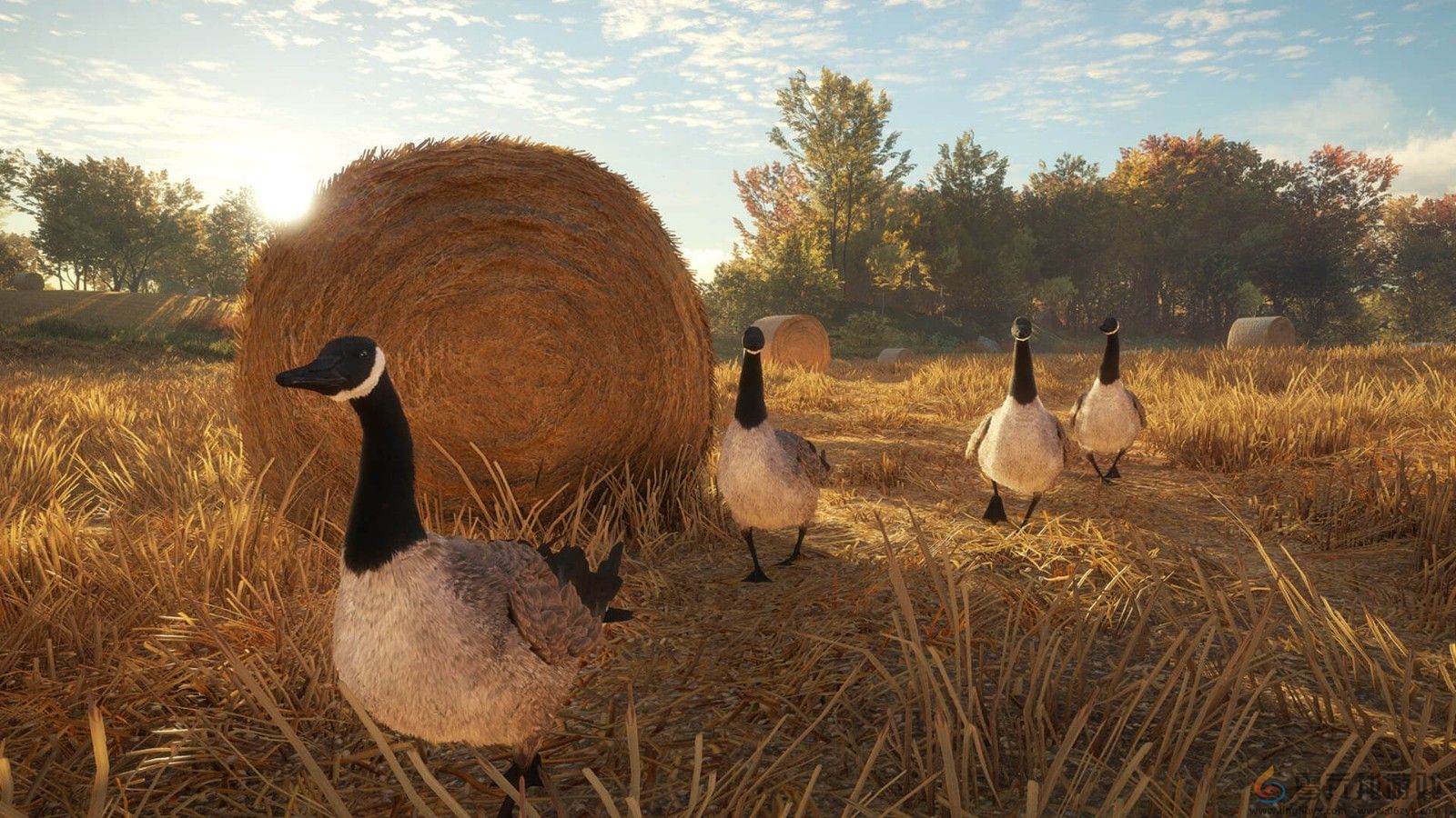 《猎人：荒野的呼唤》DLC上线 追踪13种野生动物(图8)