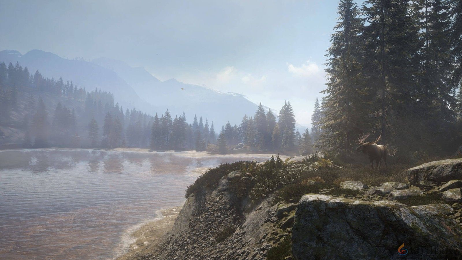 《猎人：荒野的呼唤》DLC上线 追踪13种野生动物(图12)