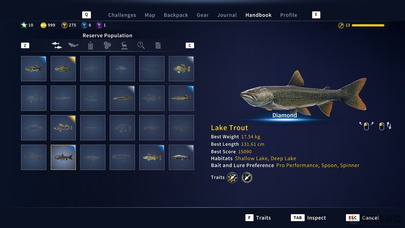 《猎人：荒野的呼唤》DLC上线 追踪13种野生动物(图15)