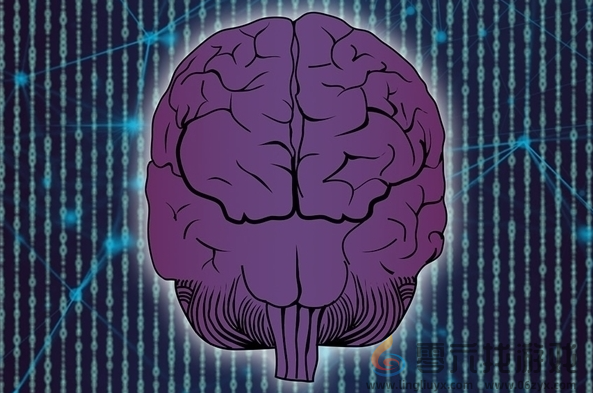 马斯克预言未来将不再有手机 安个脑机接口就好(图1) 马斯克预言未来将不再有手机 安个脑机接口就好(图1)