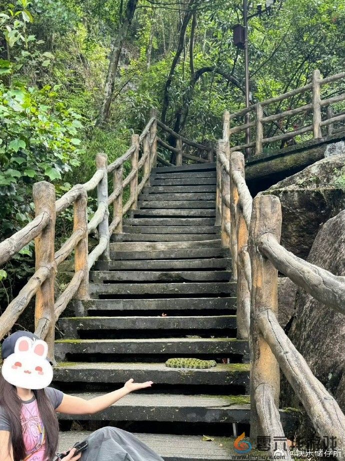 女子路遇莽山烙铁头”近距离合照 博主怒斥：愚昧！(图2)