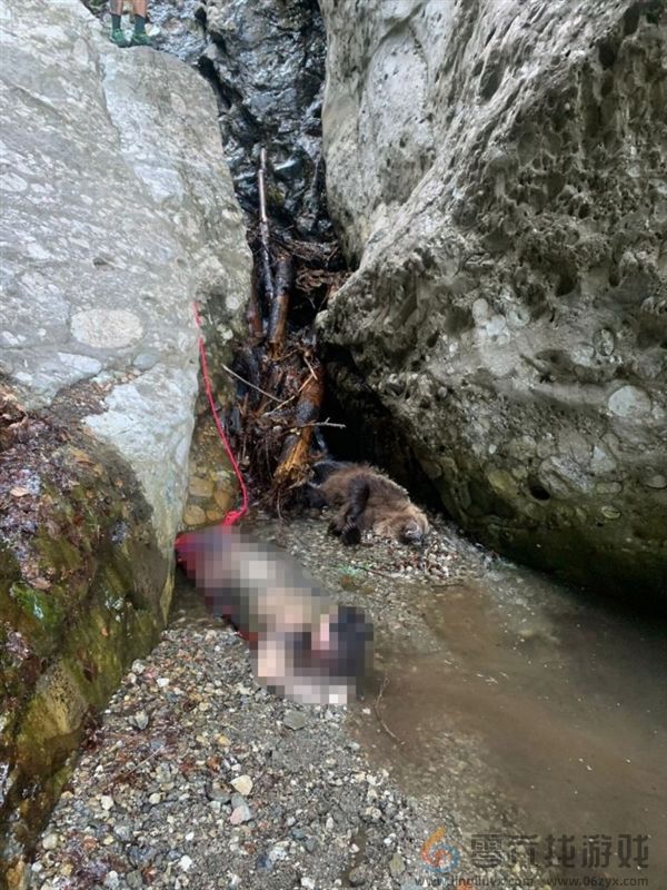 罗马尼亚一女孩被熊扔下120米悬崖：气绝身亡(图2)
