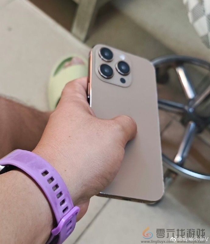 苹果iPhone 16 Pro Max新增古铜色！高清图曝光(图4)