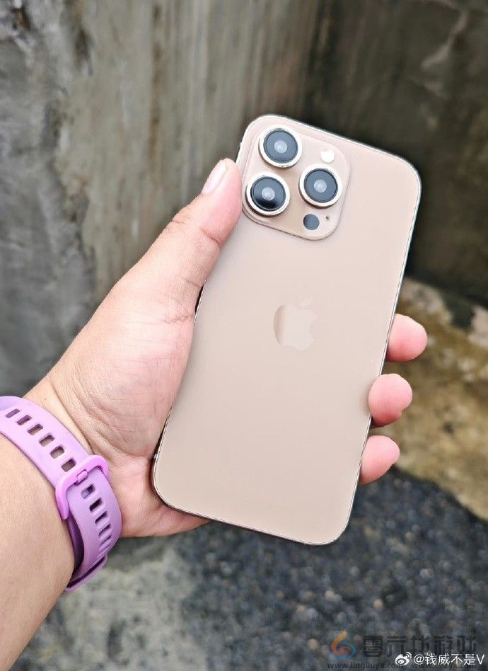 苹果iPhone 16 Pro Max新增古铜色！高清图曝光(图3)