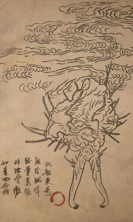 黑神话：悟空石双双的图鉴(图2)