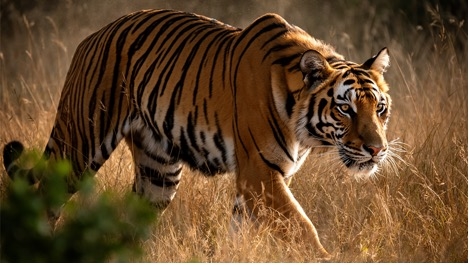 FLUX.2 图像生成模型发布，针对 NVIDIA RTX GPU 优化(图2)