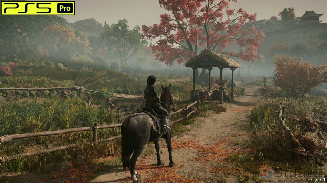 《刺客信条：影》PS5 Pro和Switch 2画面对比(图11)