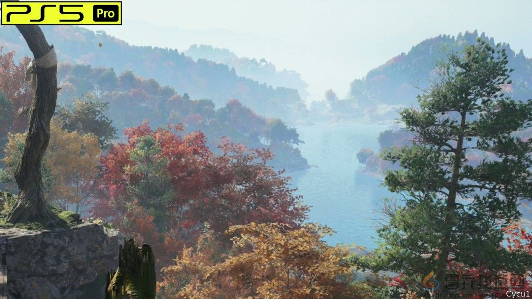 《刺客信条：影》PS5 Pro和Switch 2画面对比(图16)