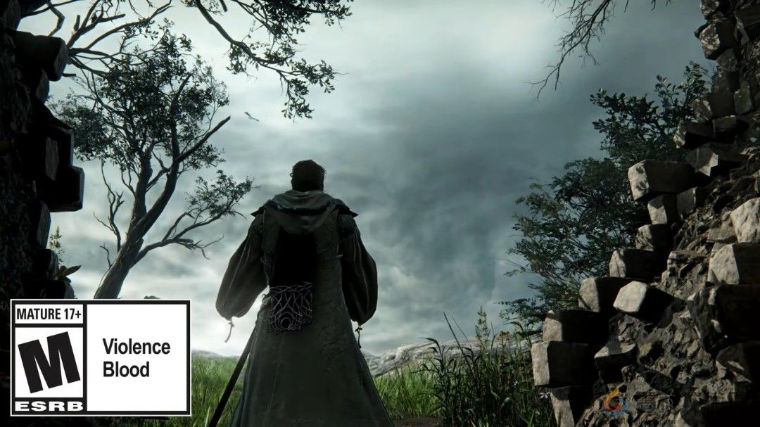 《艾尔登法环：黑夜君临》DLC新职业“学者”预告(图3)